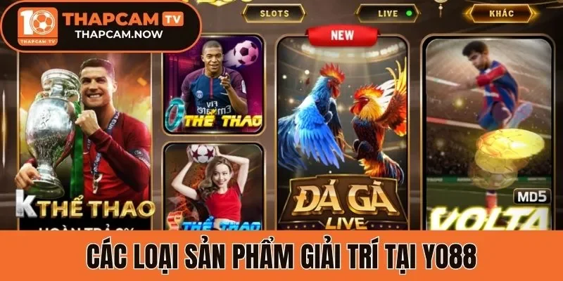 Các sản phẩm giải trí tại Yo88