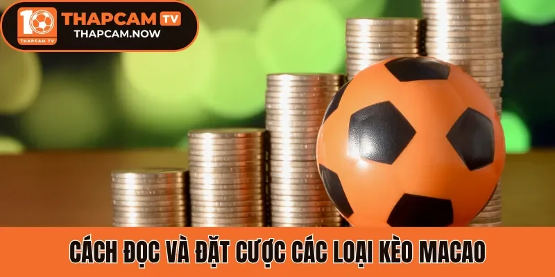 Chuyển đến nội dung chínhChuyển đến thanh công cụ
smartearning.in
Flatsome
00 bình luận cần kiểm duyệt
Tạo mới
Rank Math SEO
Xin chào, seo
Tùy chọn màn hìnhHỗ trợ
Thêm Bài Viết
Thông báo SEO: post đã xuất bản trước đó đã được chuyển vào thùng rác. Bạn có thể chuyển hướng https://smartearning.in/soi-keo-brighton-vs-brentford/ đến một URL mới.Bỏ qua thông báo này
EditorUX Builder
Thêm tiêu đề
Tỷ lệ kèo Macao - Cách đọc kèo chuẩn, tăng tỷ lệ cược thắng
Bỏ qua để biên tập
Đường dẫn tĩnh: https://smartearning.in/ty-le-keo-macao/ ‎Chỉnh sửa
Thêm MediaTrực quanMã
Định dạng ĐoạnTOCShortcodes
11ptp » i » span
Số từ: 986	Bản nháp được lưu lúc 13:09:23.
Di chuyển lênDi chuyển xuốngChuyển đổi bảng điều khiển: Xuất bản
Xem trước(mở trong cửa sổ mới)
Trạng thái: Bản nháp Chỉnh sửaChỉnh sửa trạng thái
Hiển thị: Công khai Chỉnh sửaChỉnh sửa độ rõ nét
Xuất bản ngay lập tức Chỉnh sửaChỉnh sửa ngày tháng và thời gianLock Modified Date
SEO: 81 / 100
Bỏ vào thùng rác
Di chuyển lênDi chuyển xuốngChuyển đổi bảng điều khiển: Ảnh đại diện
Đặt ảnh đại diệnDi chuyển lênDi chuyển xuốngChuyển đổi bảng điều khiển: Danh mục
Tất cả danh mục Dùng nhiều nhất
Cẩm Nang
Soi Kèo
Tin Tức
Top Nhà Cái
+ Thêm Danh Mục
Di chuyển lênDi chuyển xuốngChuyển đổi bảng điều khiển: Content AI
Di chuyển lênDi chuyển xuốngChuyển đổi bảng điều khiển: Định dạng
Di chuyển lênDi chuyển xuốngChuyển đổi bảng điều khiển: Thẻ
Di chuyển lênDi chuyển xuốngChuyển đổi bảng điều khiển: LiteSpeed
Di chuyển lênDi chuyển xuốngChuyển đổi bảng điều khiển: Đề xuất Liên kết
Di chuyển lênDi chuyển xuốngChuyển đổi bảng điều khiển: Rank Math SEO
Tổng quan
Nâng cao
Schema
Mạng xã hội
https://smartearning.in/ty-le-keo-macao/
Tỷ Lệ Kèo Macao - Cách đọc Kèo Chuẩn, Tăng Tỷ Lệ Cược...
Kèo Macao thuộc loại kèo cược chấp châu Á giúp cân bằng trình độ giữa hai đội bóng thể thao. Cách đọc tỷ lệ kèo Macao đơn giản dễ thắng lớn.
Chỉnh sửa đoạn trích
Từ khóa chínhChèn các từ khóa bạn muốn xếp hạng. Cố gắng đạt 100/100 điểm để có cơ hội xếp hạng tốt hơn.81 / 100
Lưu ý cảnh báo
Đọc ở đây để Đạt điểm 100/100Bài viết này là nội dung cốt lõiSEO cơ bản
Tất cả đều tốt
Tuyệt vời! Bạn đang sử dụng từ khoá chính trong Tiêu đề SEO.
Đã sử dụng từ khoá chính trong Mô tả Meta SEO.
Từ khóa chính đã được sử dụng trong URL.
Từ khoá chính xuất hiện trong 10% nội dung đầu tiên.
Đã tìm thấy từ khoá chính trong nội dung.
Nội dung dài 998 từ. Làm tốt lắm!Bổ sung
3 LỗiKhả năng đọc tiêu đề
1 LỗiKhả năng đọc nội dung
Tất cả đều tốt
Di chuyển lênDi chuyển xuốngChuyển đổi bảng điều khiển: Disable WpDevArt Facebook comment on this page/post
Di chuyển lênDi chuyển xuốngChuyển đổi bảng điều khiển: Table of ContentsCảm ơn bạn đã sử dụng Rank MathPhiên bản 6.8.2
Thông báoLink inserted.
Đóng hộp thoại
Thêm tệp media
Hành động
Tải lên tệp mớiChọn từ thư viện Media
Mở rộng chi tiết
Lọc mediaLọc theo loại
Tất cả
Lọc theo ngày
Tất cả các ngày
Tìm tệp media
Danh sách media
Đang hiển thị 84 của 608 file mediaTải thêm
Chi tiết tệp đính kèmcach-doc-va-dat-cuoc-cac-loai-keo-macao.webp
22 Tháng 1, 2026
35 KB
800 dài và rộng 400 pixel
Sửa ảnh
Xóa vĩnh viễn
Văn bản thay thế
Tạo văn bản thay thế
Xem cách mô tả nội dung ảnh(mở trong cửa sổ mới). Để trống nếu ảnh chỉ dùng làm hiệu ứng trang trí.Tiêu đề
cach-doc-va-dat-cuoc-cac-loai-keo-macao
Chú thích
Mô tả
Liên kết của tệp tin:
https://smartearning.in/wp-content/uploads/2026/01/cach-doc-va-dat-cuoc-cac-loai-keo-macao.webp
Sao chép liên kết
Các trường bắt buộc được đánh dấu *Loại trừ tệp đính kèm này khỏi sơ đồ trang web
Tùy chọn hiển thị nội dung đính kèm
Căn chỉnh
Chính giữa
Liên kết tới
Không có
Kích thước
Kích thước đầy đủ – 800 × 400
Hành động cho các media đã được chọn
đã chọn 1 item
Xóa
Chèn vào bài viết
Không có tệp nào được chọn