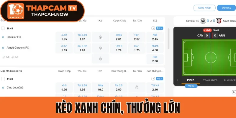Kèo xanh chín, thưởng lớn