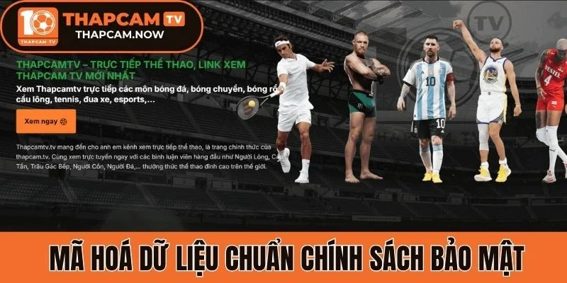 Thập Cẩm mã hoá SSL dữ liệu đúng chính sách bảo mật