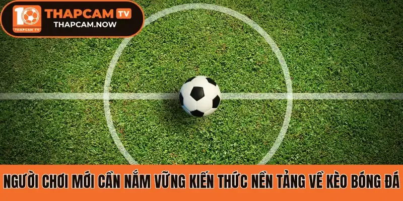 Người chơi mới cần nắm vững kiến thức nền tảng về kèo bóng đá