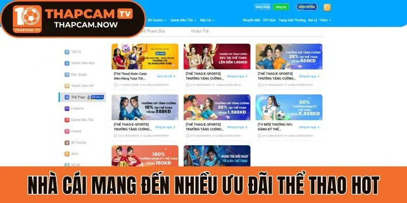 Nhà cái mang đến nhiều ưu đãi thể thao hot