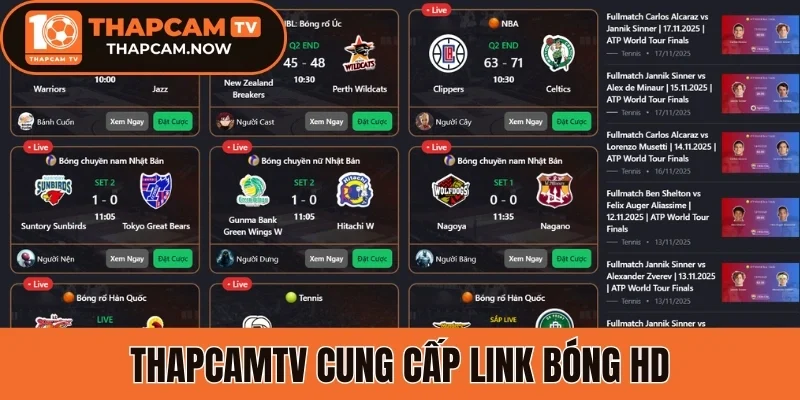 Thapcamtv cung cấp nhận đinh từ chuyên gia