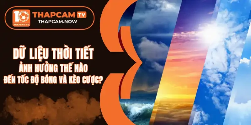 Chuyển đến nội dung chínhChuyển đến thanh công cụ smartearning.in Flatsome 00 bình luận cần kiểm duyệt Tạo mới Rank Math SEO Xin chào, Gà Siêu Phệ Tùy chọn màn hìnhHỗ trợ Thêm Bài Viết Thông báo SEO: post đã xuất bản trước đó đã được chuyển vào thùng rác. Bạn có thể chuyển hướng https://smartearning.in/soi-keo-brighton-vs-brentford/ đến một URL mới. Bỏ qua thông báo này EditorUX Builder Thêm tiêu đề Dữ Liệu Thời Tiết Ảnh Hưởng Thế Nào Đến Tốc Độ Bóng Và Kèo Cược? Bỏ qua để biên tập Đường dẫn tĩnh: https://smartearning.in/du-lieu-thoi-tiet-anh-huong-the-nao-den-toc-do-bong-va-keo-cuoc/ ‎Chỉnh sửa Thêm MediaTrực quanMã Định dạng ĐoạnTOCShortcodes 11pt p » i » span Số từ: 998 Bản nháp được lưu lúc 13:01:32. Di chuyển lênDi chuyển xuốngChuyển đổi bảng điều khiển: Xuất bản Xem trước(mở trong cửa sổ mới) Trạng thái: Bản nháp Chỉnh sửaChỉnh sửa trạng thái Hiển thị: Công khai Chỉnh sửaChỉnh sửa độ rõ nét Xuất bản ngay lập tức Chỉnh sửaChỉnh sửa ngày tháng và thời gian Lock Modified Date SEO: 80 / 100 Bỏ vào thùng rác Di chuyển lênDi chuyển xuốngChuyển đổi bảng điều khiển: Ảnh đại diện Đặt ảnh đại diện Di chuyển lênDi chuyển xuốngChuyển đổi bảng điều khiển: Danh mục Tất cả danh mục Dùng nhiều nhất Hướng Dẫn Soi Kèo Soi Kèo Nhà Cái Tin TứcMake Term Primary Top Nhà Cái + Thêm Danh Mục Di chuyển lênDi chuyển xuốngChuyển đổi bảng điều khiển: Content AI Di chuyển lênDi chuyển xuốngChuyển đổi bảng điều khiển: Định dạng Di chuyển lênDi chuyển xuốngChuyển đổi bảng điều khiển: Thẻ Di chuyển lênDi chuyển xuốngChuyển đổi bảng điều khiển: Đề xuất Liên kết Di chuyển lênDi chuyển xuốngChuyển đổi bảng điều khiển: LiteSpeed Di chuyển lênDi chuyển xuốngChuyển đổi bảng điều khiển: Rank Math SEO Tổng quan Nâng cao Schema Mạng xã hội https://smartearning.in/du-lieu-thoi-tiet-anh-huong-the-nao-den-toc-do-bong-... Dữ Liệu Thời Tiết Ảnh Hưởng Thế Nào Đến Tốc Độ Bóng Và... Dữ liệu thời tiết như độ ẩm, lượng mưa hay sức gió có thể làm ảnh hưởng đến lối chơi của các cầu thủ, từ đó dẫn đến biến động trong tỷ lệ cược. Chỉnh sửa đoạn trích Từ khóa chínhChèn các từ khóa bạn muốn xếp hạng. Cố gắng đạt 100/100 điểm để có cơ hội xếp hạng tốt hơn. 80 / 100 Lưu ý cảnh báo Đọc ở đây để Đạt điểm 100/100 Bài viết này là nội dung cốt lõi SEO cơ bản Tất cả đều tốt Tuyệt vời! Bạn đang sử dụng từ khoá chính trong Tiêu đề SEO. Đã sử dụng từ khoá chính trong Mô tả Meta SEO. Từ khóa chính đã được sử dụng trong URL. Từ khoá chính xuất hiện trong 10% nội dung đầu tiên. Đã tìm thấy từ khoá chính trong nội dung. Nội dung dài 999 từ. Làm tốt lắm! Bổ sung 3 Lỗi Khả năng đọc tiêu đề 1 Lỗi Khả năng đọc nội dung Tất cả đều tốt Di chuyển lênDi chuyển xuốngChuyển đổi bảng điều khiển: Disable WpDevArt Facebook comment on this page/post Di chuyển lênDi chuyển xuốngChuyển đổi bảng điều khiển: Table of Contents Cảm ơn bạn đã sử dụng Rank MathPhiên bản 6.8.2 Thông báoLink inserted. Đóng hộp thoại Thêm tệp media Hành động Tải lên tệp mớiChọn từ thư viện Media Mở rộng chi tiết Lọc mediaLọc theo loại Tất cả Lọc theo ngày Tất cả các ngày Tìm tệp media Danh sách media Đang hiển thị 84 của 926 file media Tải thêm Chi tiết tệp đính kèm phan-tich-va-theo-doi-du-lieu-thoi-tiet-truoc-khi-cuoc.webp 27 Tháng 3, 2026 43 KB 800 dài và rộng 400 pixel Sửa ảnh Xóa vĩnh viễn Văn bản thay thế Tạo văn bản thay thế Xem cách mô tả nội dung ảnh(mở trong cửa sổ mới). Để trống nếu ảnh chỉ dùng làm hiệu ứng trang trí.Tiêu đề phan-tich-va-theo-doi-du-lieu-thoi-tiet-truoc-khi-cuoc Chú thích Mô tả Liên kết của tệp tin: https://smartearning.in/wp-content/uploads/2026/03/phan-tich-va-theo-doi-du-lieu-thoi-tiet-truoc-khi-cuoc.webp Sao chép liên kết Các trường bắt buộc được đánh dấu * Loại trừ tệp đính kèm này khỏi sơ đồ trang web Tùy chọn hiển thị nội dung đính kèm Căn chỉnh Chính giữa Liên kết tới Không có Kích thước Kích thước đầy đủ – 800 × 400 Hành động cho các media đã được chọn đã chọn 1 item Xóa Chèn vào bài viết Không có tệp nào được chọn
