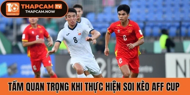 Tầm quan trọng khi thực hiện soi kèo Aff Cup