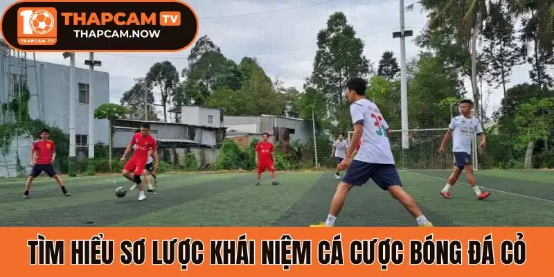 Tìm hiểu sơ lược khái niệm cá cược bóng đá cỏ